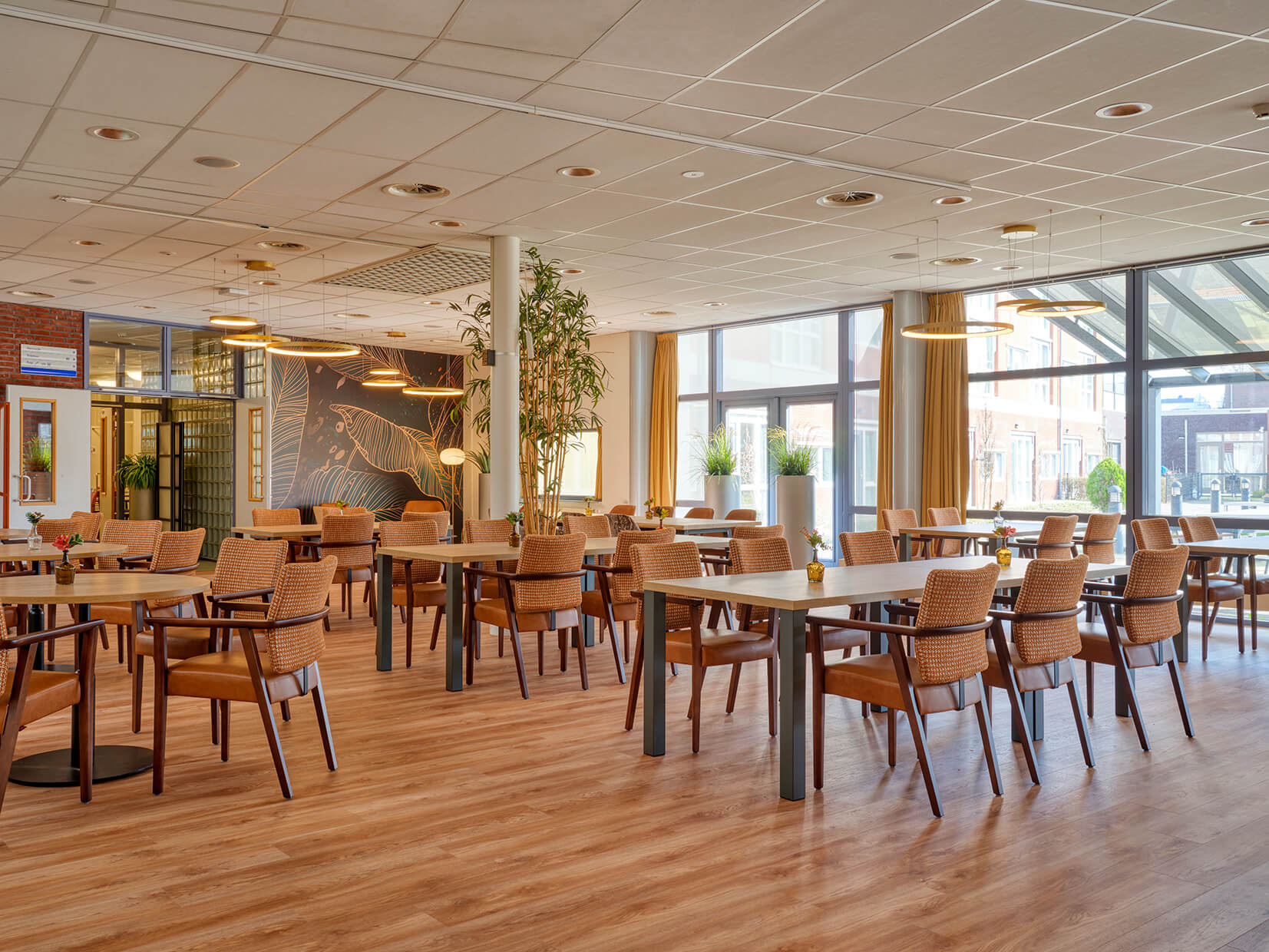 Het Spectrum - Lensen Projectinrichters